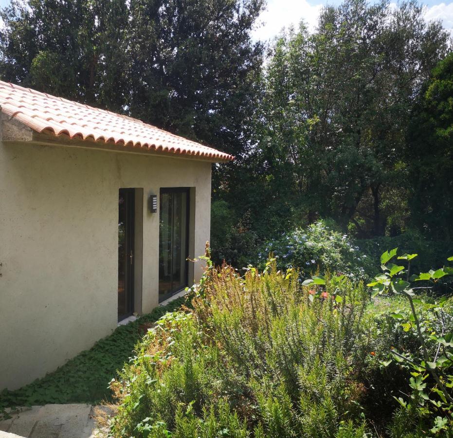 Villa Griseor Porto-Vecchio  Exterior photo